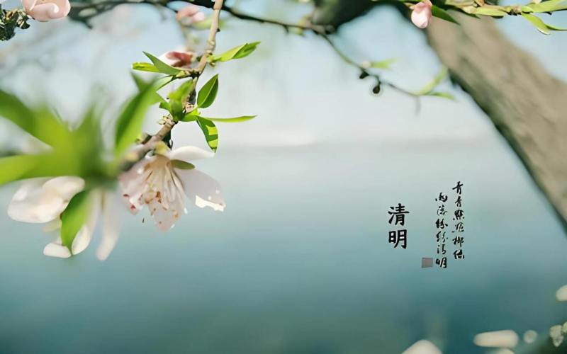 清明：梨花風起正清明