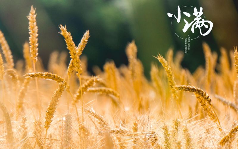 人生小滿勝萬全！