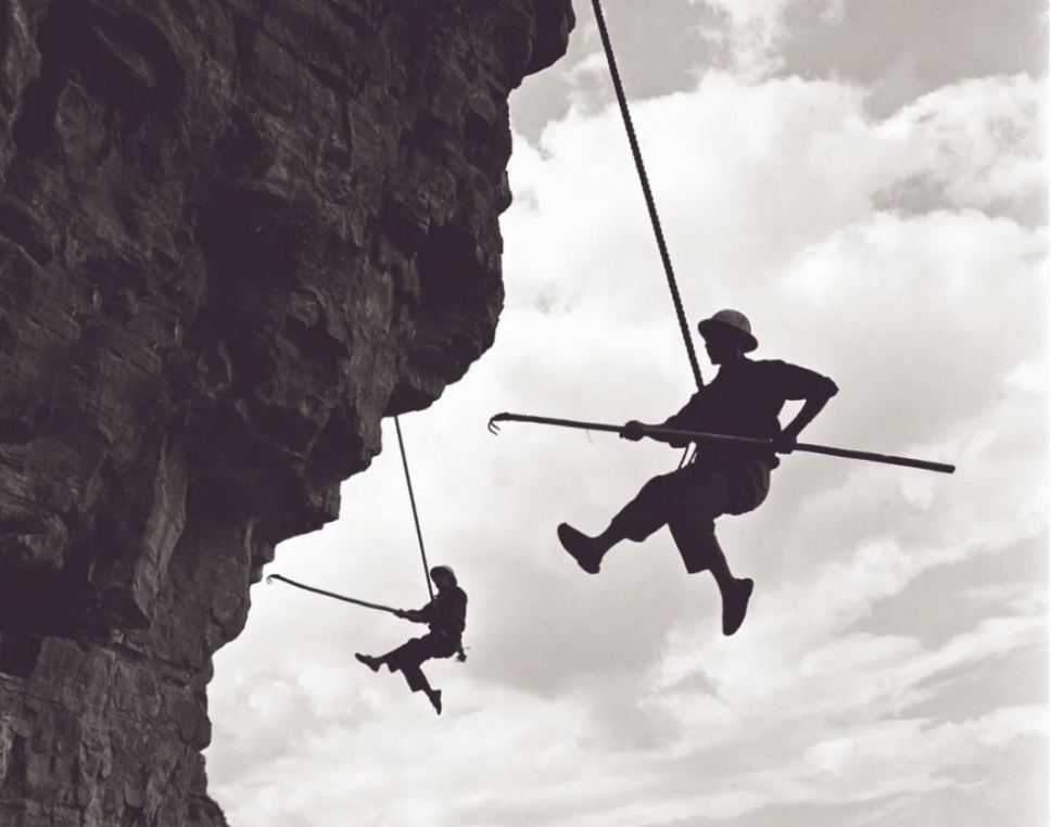 微信截圖_20240320150947